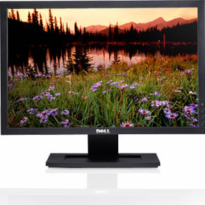 Dell E170S Flat Panel Monitor