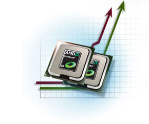 AMD Opteron™ Processor